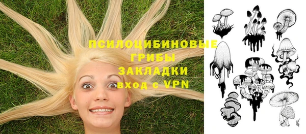 герыч Долгопрудный