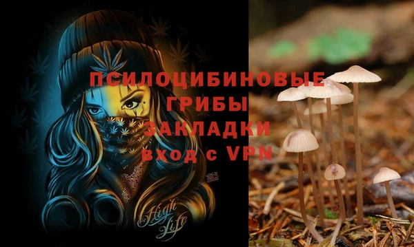 PSILOCYBIN Заводоуковск