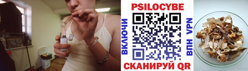 наркошоп Сасово KRAKEN Галлюциногенные грибы GOLDEN TEACHER